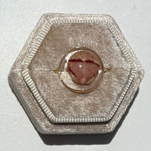 Load image into Gallery viewer, *Rare Finds* Treasure Seashell Rings

