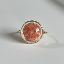 Load image into Gallery viewer, *Rare Finds* Treasure Seashell Rings
