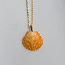 Load image into Gallery viewer, *Rare Finds* Dainty Gold Seashell Necklace
