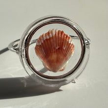 Load image into Gallery viewer, *Rare Finds* Treasure Seashell Rings
