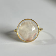 Load image into Gallery viewer, *Rare Finds* Treasure Seashell Rings
