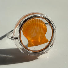 Load image into Gallery viewer, *Rare Finds* Treasure Seashell Rings
