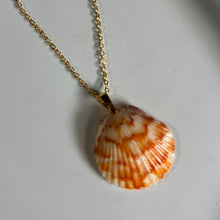 Load image into Gallery viewer, *Rare Finds* Dainty Gold Seashell Necklace
