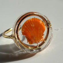 Load image into Gallery viewer, *Rare Finds* Treasure Seashell Rings
