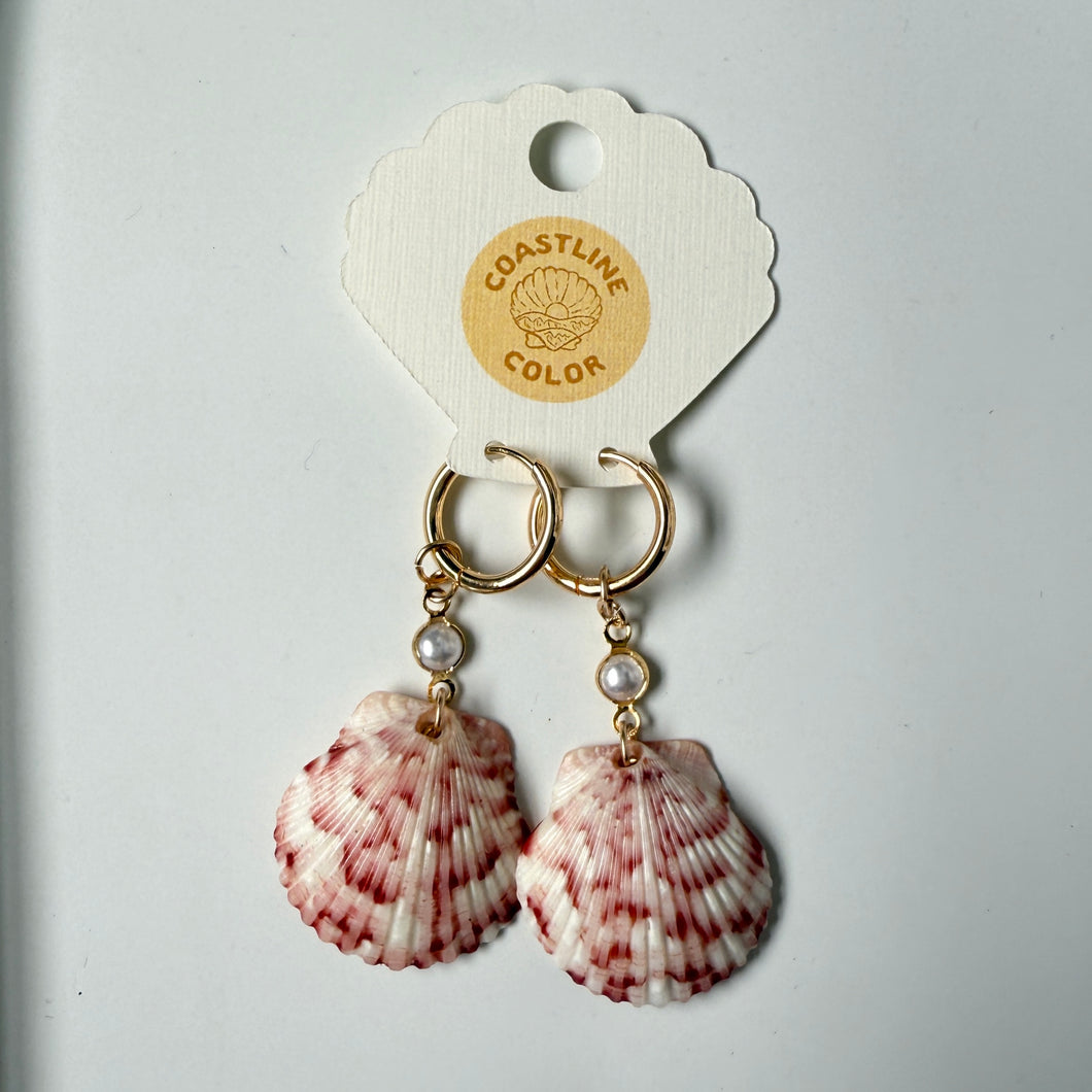 *Rare Find* Hidden Gem Seashell Earrings