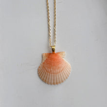 Load image into Gallery viewer, *Rare Finds* Dainty Gold Seashell Necklace
