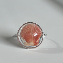 Load image into Gallery viewer, *Rare Finds* Treasure Seashell Rings
