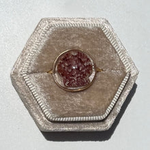 Load image into Gallery viewer, *Rare Finds* Treasure Seashell Rings
