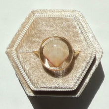 Load image into Gallery viewer, *Rare Finds* Treasure Seashell Rings
