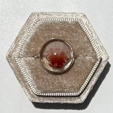 Load image into Gallery viewer, *Rare Finds* Treasure Seashell Rings
