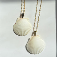 Load image into Gallery viewer, Dainty Gold Seashell Necklace
