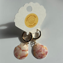 Load image into Gallery viewer, *Rare Finds* Tiny Seashell Earrings
