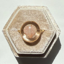 Load image into Gallery viewer, *Rare Finds* Treasure Seashell Rings
