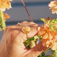 Load image into Gallery viewer, Gold Treasure Seashell Rings
