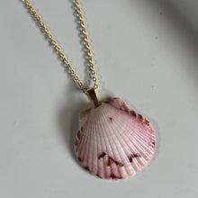 Load image into Gallery viewer, *Rare Finds* Dainty Gold Seashell Necklace
