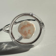 Load image into Gallery viewer, *Rare Finds* Treasure Seashell Rings
