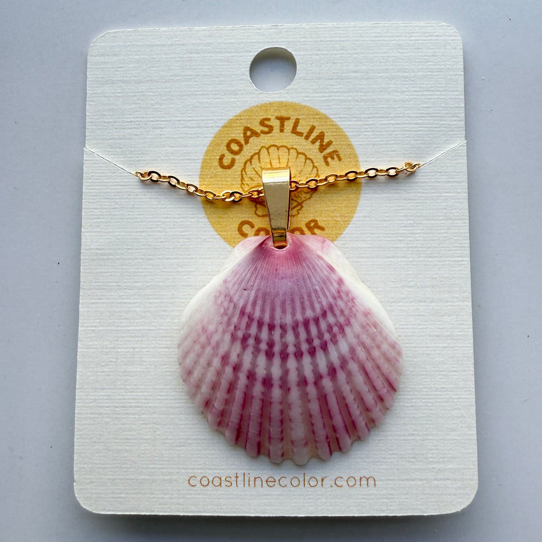 *Rare Finds* Dainty Gold Seashell Necklace