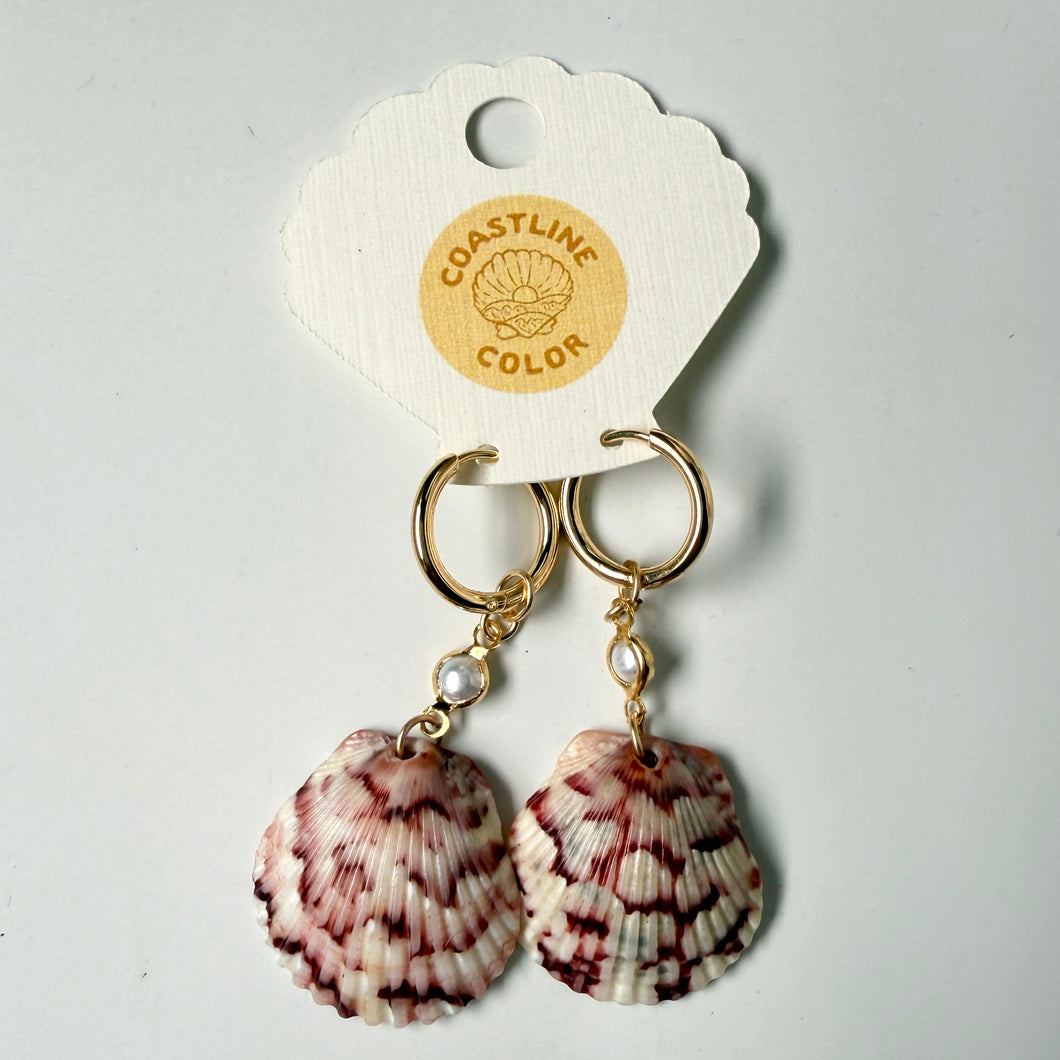 *Rare Find* Hidden Gem Seashell Earrings