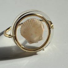 Load image into Gallery viewer, *Rare Finds* Treasure Seashell Rings
