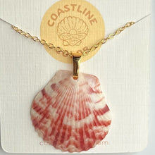 Load image into Gallery viewer, *Rare Finds* Dainty Gold Seashell Necklace
