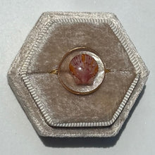 Load image into Gallery viewer, *Rare Finds* Treasure Seashell Rings
