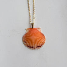 Load image into Gallery viewer, *Rare Finds* Dainty Gold Seashell Necklace
