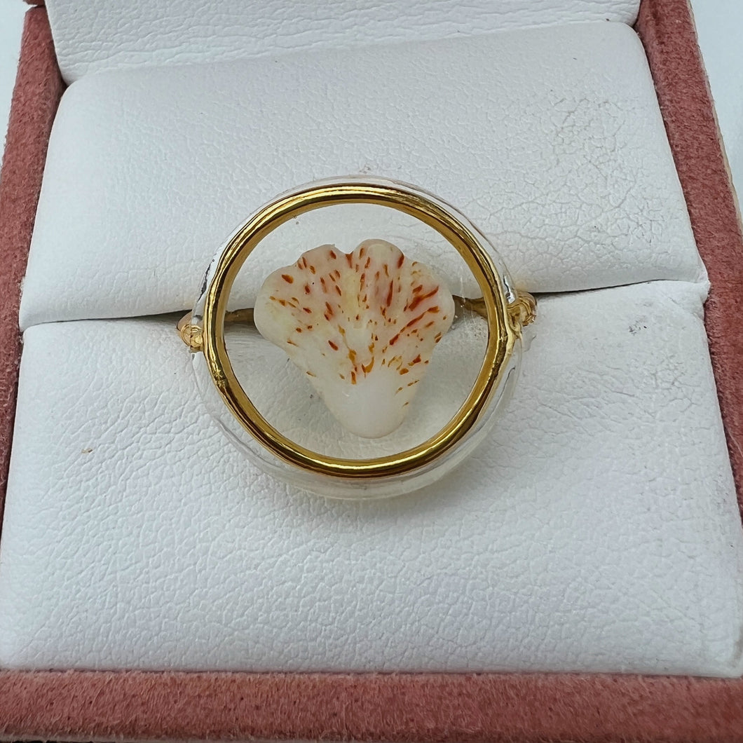 Gold Treasure Seashell Ring