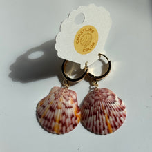 Load image into Gallery viewer, *Rare Finds* Seashell Earrings
