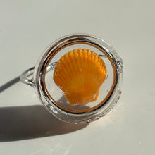 Load image into Gallery viewer, *Rare Finds* Treasure Seashell Rings
