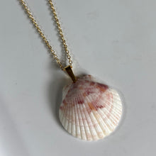 Load image into Gallery viewer, *Rare Finds* Dainty Gold Seashell Necklace
