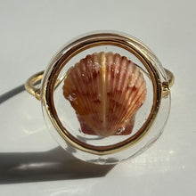 Load image into Gallery viewer, *Rare Finds* Treasure Seashell Rings
