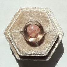 Load image into Gallery viewer, *Rare Finds* Treasure Seashell Rings
