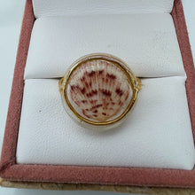 Load image into Gallery viewer, Gold Treasure Seashell Ring
