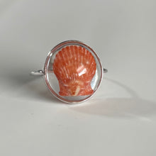 Load image into Gallery viewer, *Rare Finds* Treasure Seashell Rings
