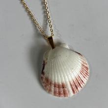 Load image into Gallery viewer, *Rare Finds* Dainty Gold Seashell Necklace
