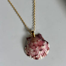 Load image into Gallery viewer, *Rare Finds* Dainty Gold Seashell Necklace
