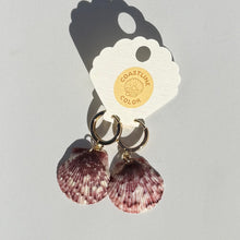 Load image into Gallery viewer, *Rare Finds* Seashell Earrings
