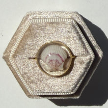 Load image into Gallery viewer, *Rare Finds* Treasure Seashell Rings
