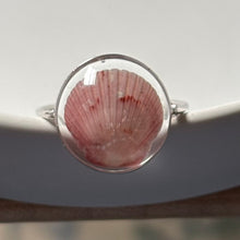 Load image into Gallery viewer, *Rare Finds* Treasure Seashell Rings
