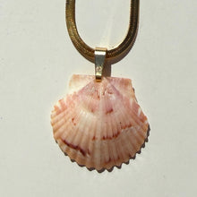 Load image into Gallery viewer, *Rare Finds* Mermaid Chain Necklace
