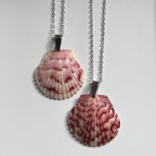 Load image into Gallery viewer, Dainty Silver Seashell Necklace
