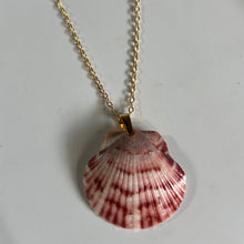 Load image into Gallery viewer, *Rare Finds* Dainty Gold Seashell Necklace
