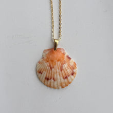 Load image into Gallery viewer, *Rare Finds* Dainty Gold Seashell Necklace
