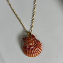 Load image into Gallery viewer, *Rare Finds* Dainty Gold Seashell Necklace
