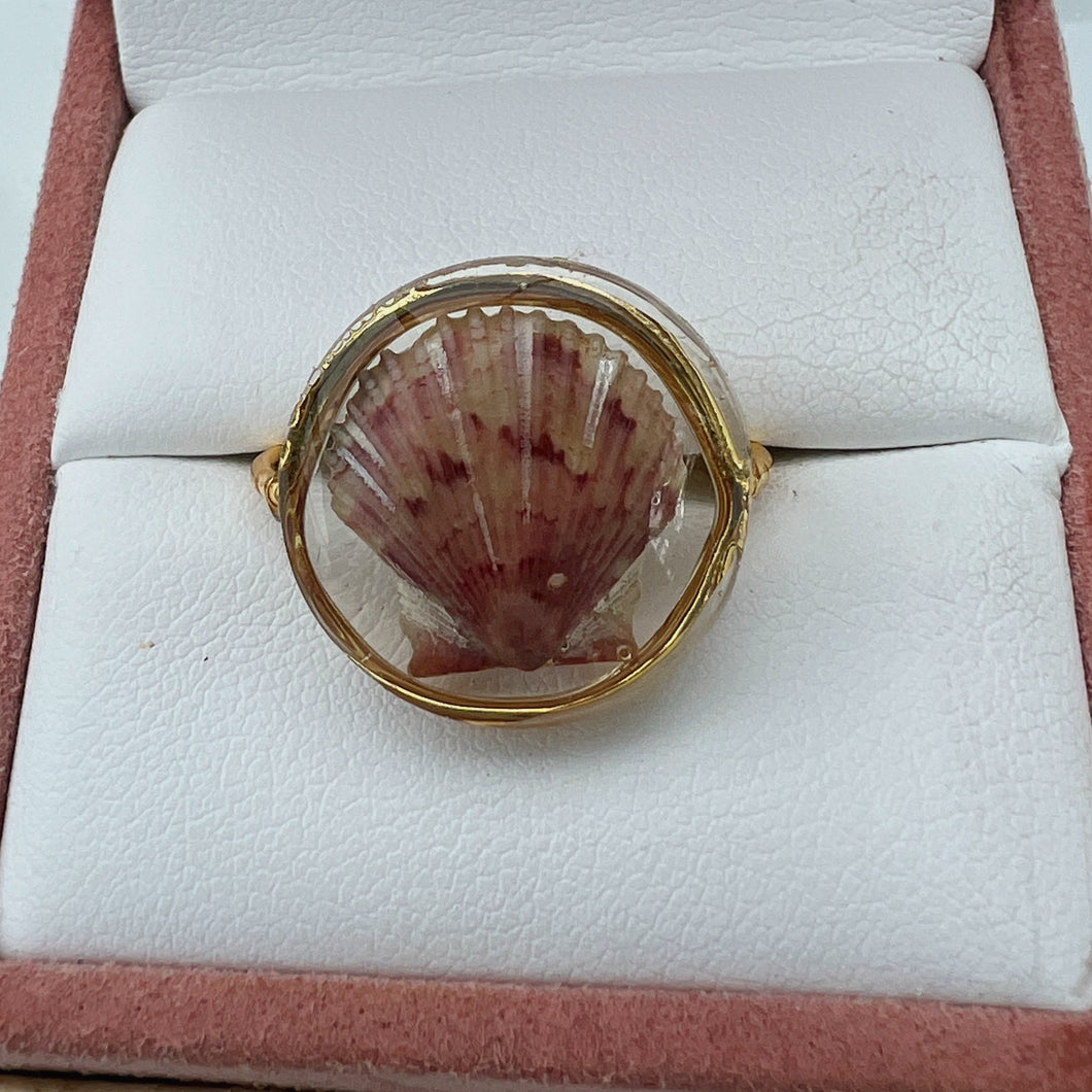 Gold Treasure Seashell Ring