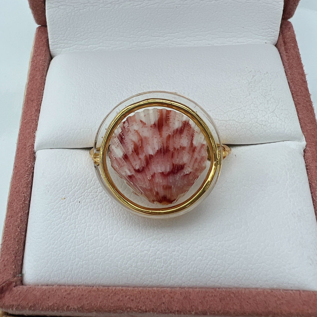 Gold Treasure Seashell Ring