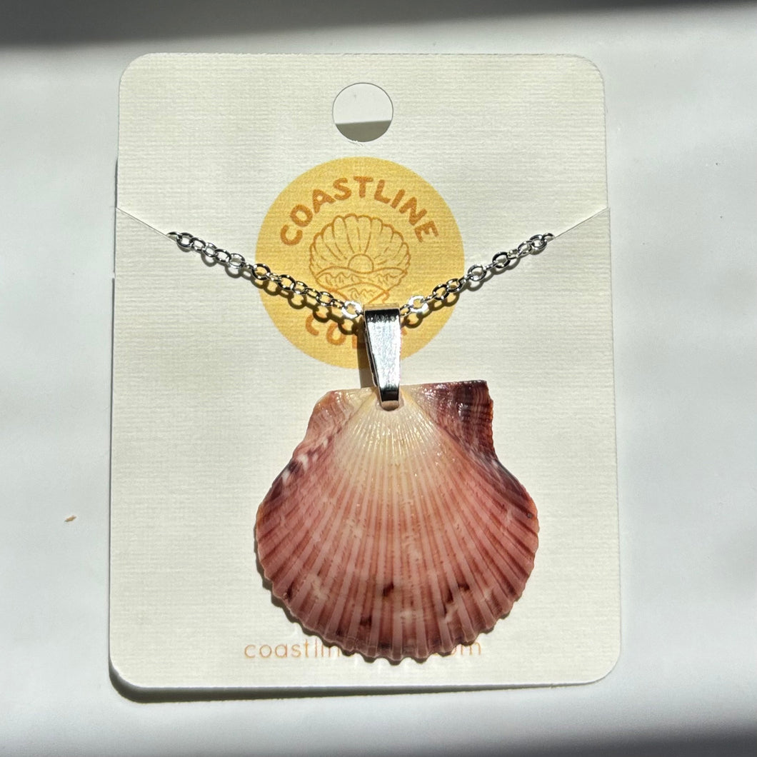 *Rare Finds* Dainty Silver Seashell Necklace