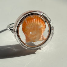 Load image into Gallery viewer, *Rare Finds* Treasure Seashell Rings
