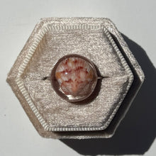 Load image into Gallery viewer, *Rare Finds* Treasure Seashell Rings
