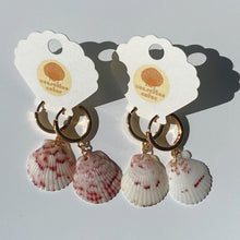 Load image into Gallery viewer, Gold Hoop Seashell Earrings
